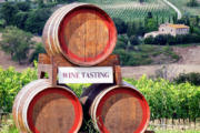 Super Tuscan Wine Tour from Florence