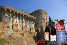 Wine Tour Montecarlo Tuscany