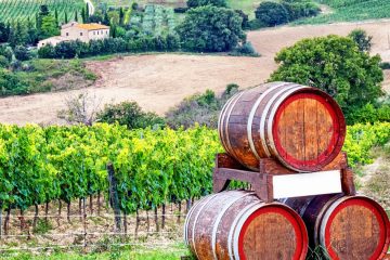 Wine Day Tour in Tuscany, Chianti Region, with Lunch