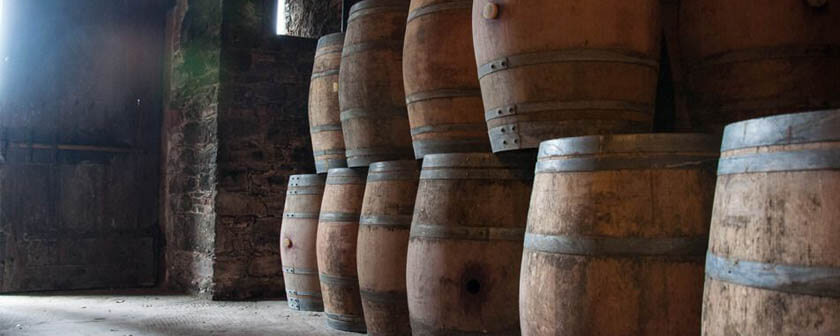 Wine cellar tour from pisa bellaitaliatour
