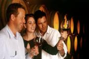 Chianti and SuperTuscan Tour from Montecatini