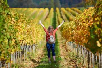 walking in the vineyards
