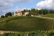 Chianti winery in Tuscany