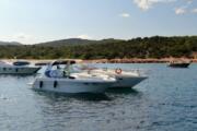 motor boat trip to the island of elba